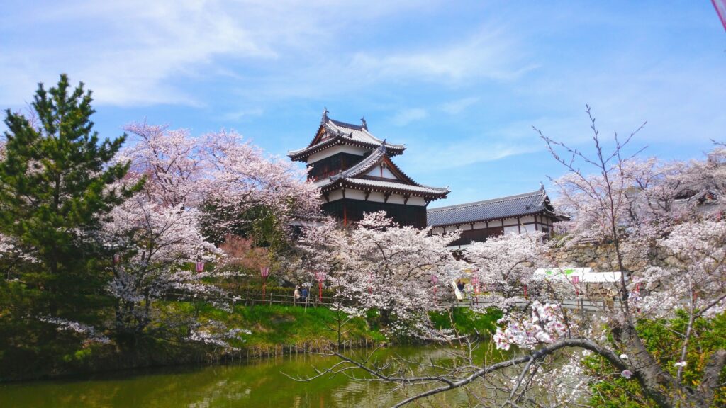画像:豊臣秀長ゆかりの大和郡山城(引用元:写真AC)